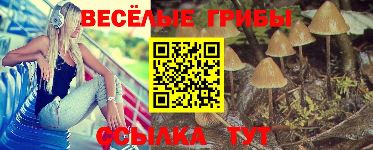 Галлюциногенные грибы Cubensis Нарьян-Мар