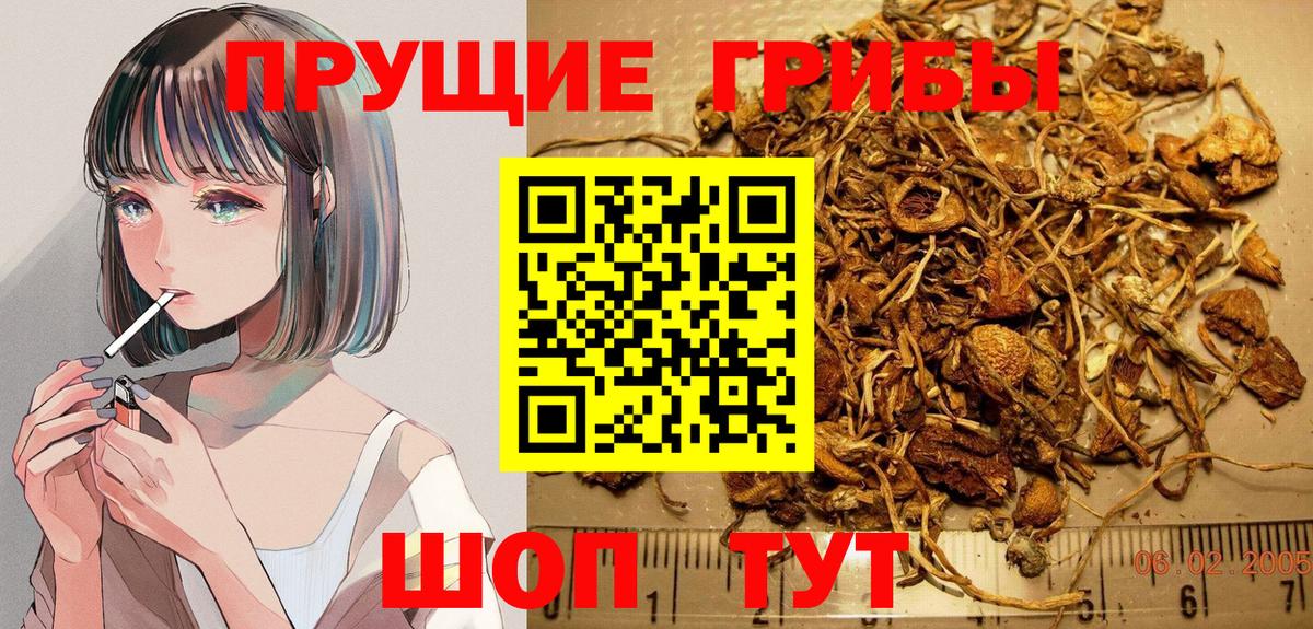 Галлюциногенные грибы Cubensis  Псилоцибиновые грибы прущие грибы  Вход с VPN  Нарьян-Мар 